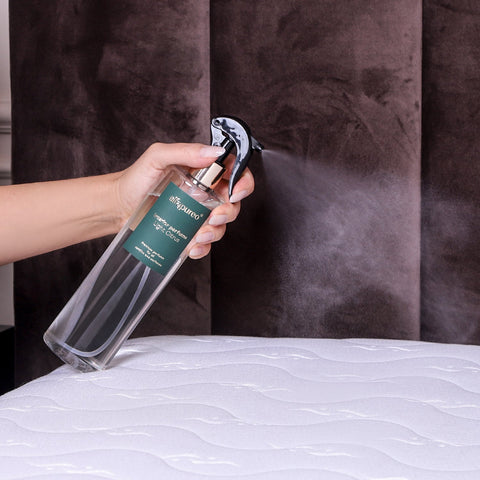 Winter Dream OUTLET -50%