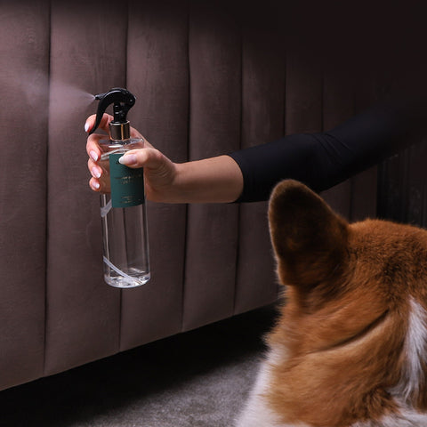 Winter Dream OUTLET -50%